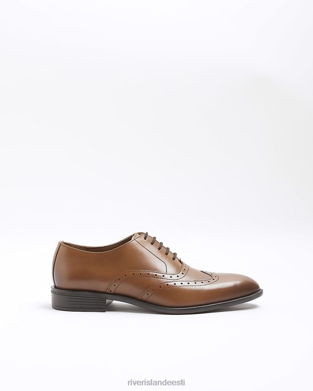 jalatsid pruun mehed River Island brogue derby kingad 44TLL2808