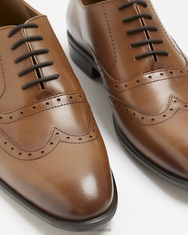 jalatsid pruun mehed River Island brogue derby kingad 44TLL2808