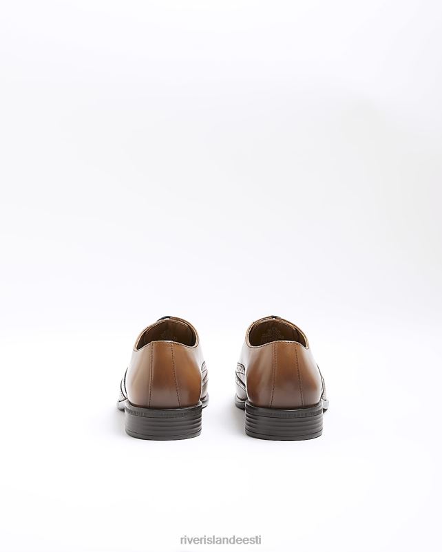 jalatsid pruun mehed River Island brogue derby kingad 44TLL2808