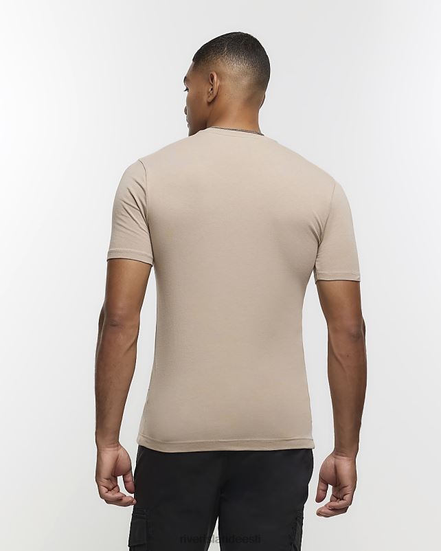 kehakate hall mehed River Island mitmikpakendis 5 lihase mahuga t-särki 44TLL2428