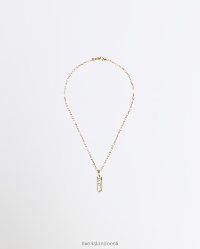 tarvikud kullast mehed River Island värvi sulgedest kaelakee 44TLL5737