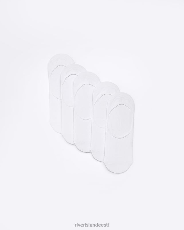 tarvikud valge mehed River Island multipakis 5 ri laineri sokki 44TLL3062