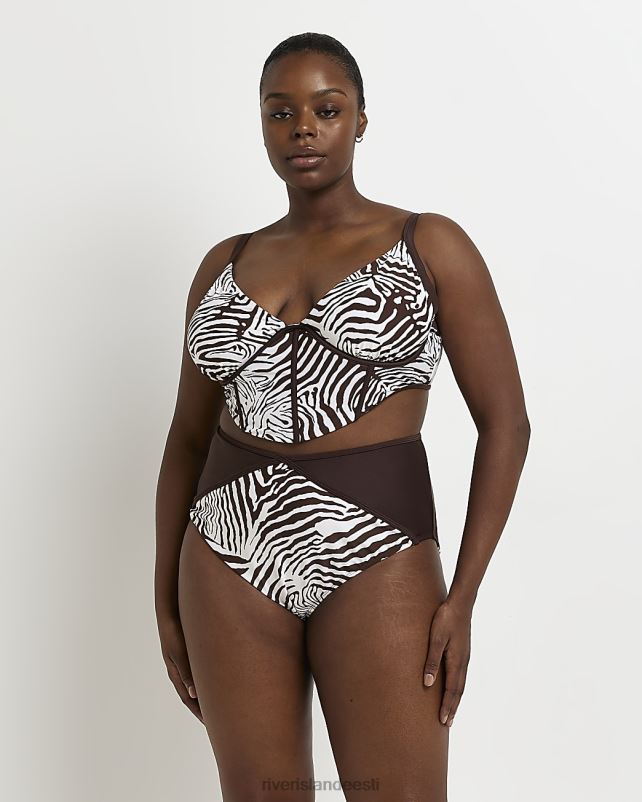 kehakate pruun naised River Island pluss loomamustriga bikiinipüksid 44TLL5168