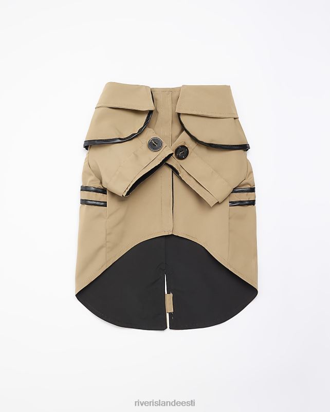 tarvikud pruun naised River Island koera trentšmantel 44TLL4067