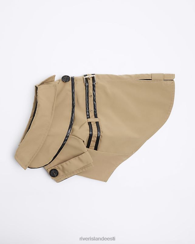 tarvikud pruun naised River Island koera trentšmantel 44TLL4067