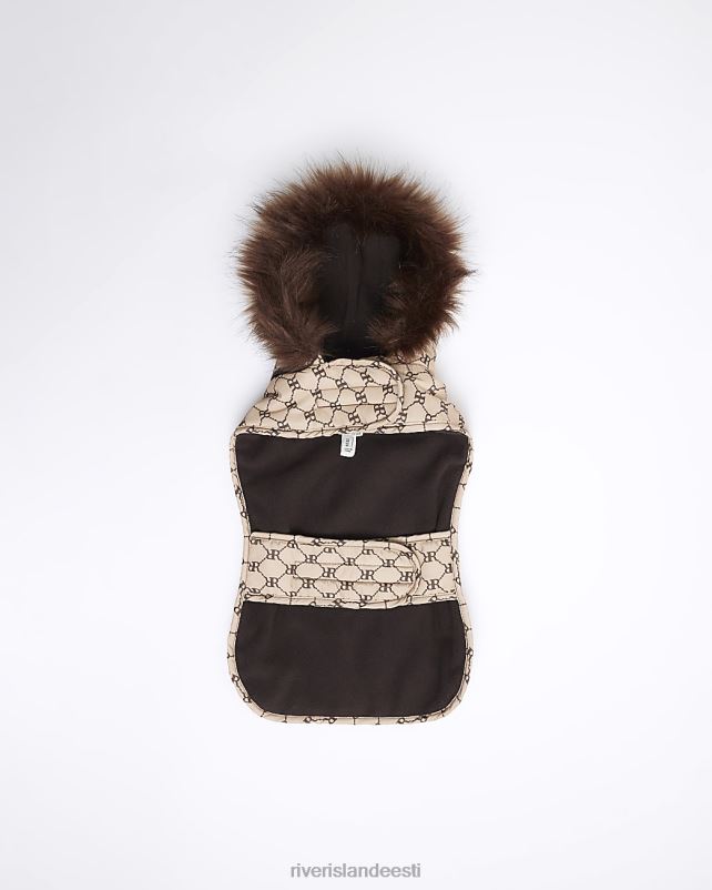 tarvikud pruun naised River Island ri monogramm koerakasukas 44TLL4069