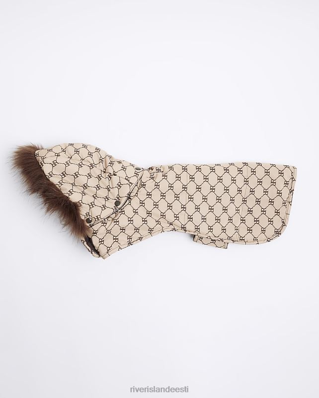 tarvikud pruun naised River Island ri monogramm koerakasukas 44TLL4069