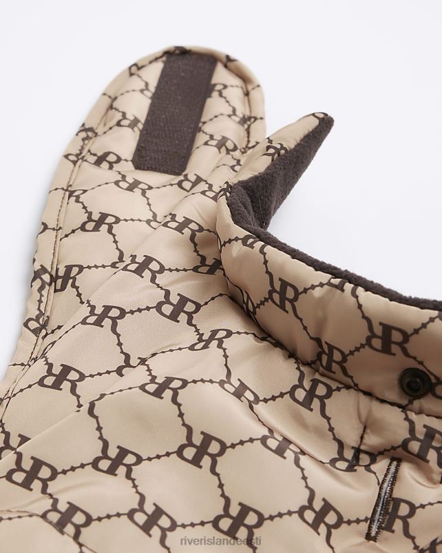 tarvikud pruun naised River Island ri monogramm koerakasukas 44TLL4069