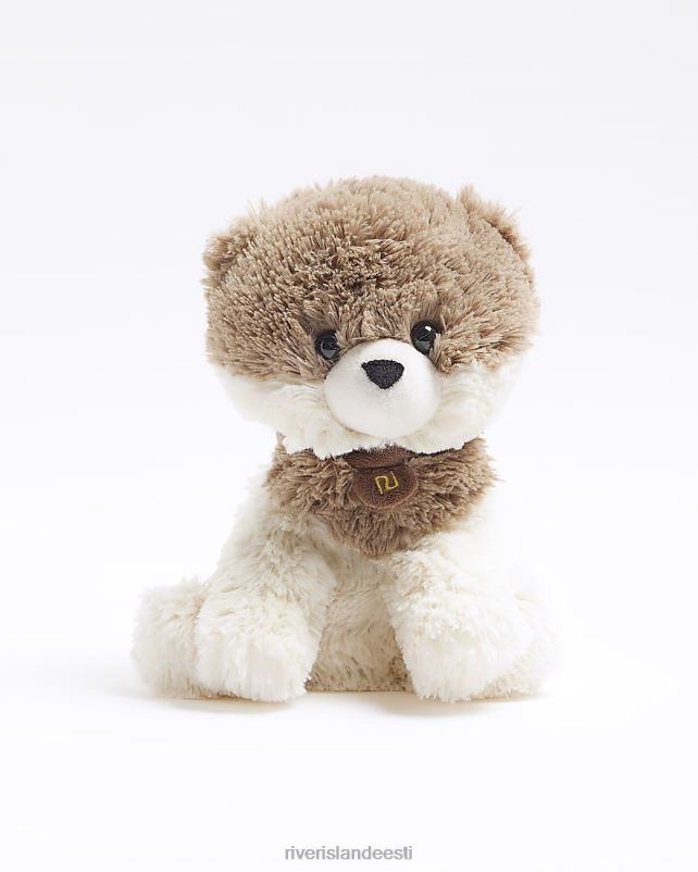 tarvikud beež naised River Island koera soojuspakk 44TLL3894