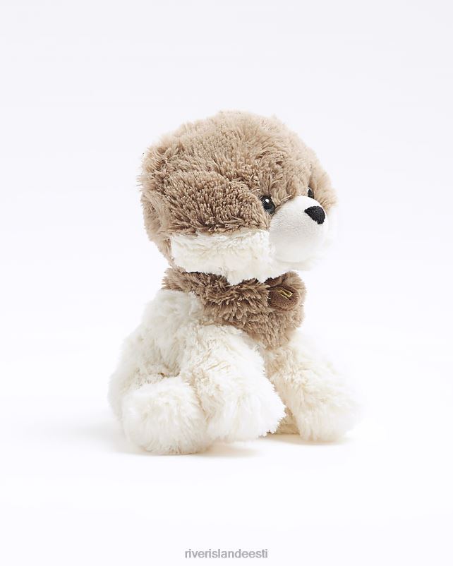 tarvikud beež naised River Island koera soojuspakk 44TLL3894