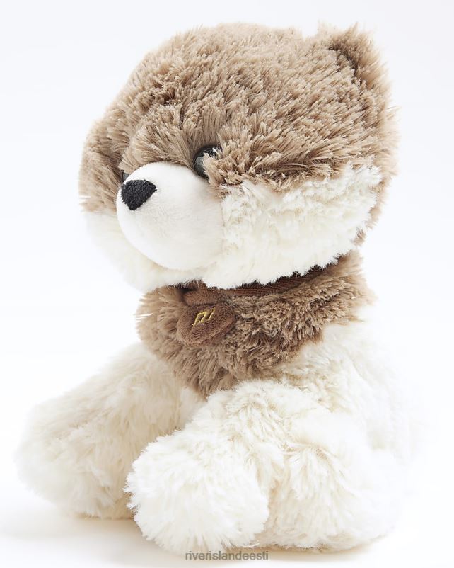 tarvikud beež naised River Island koera soojuspakk 44TLL3894